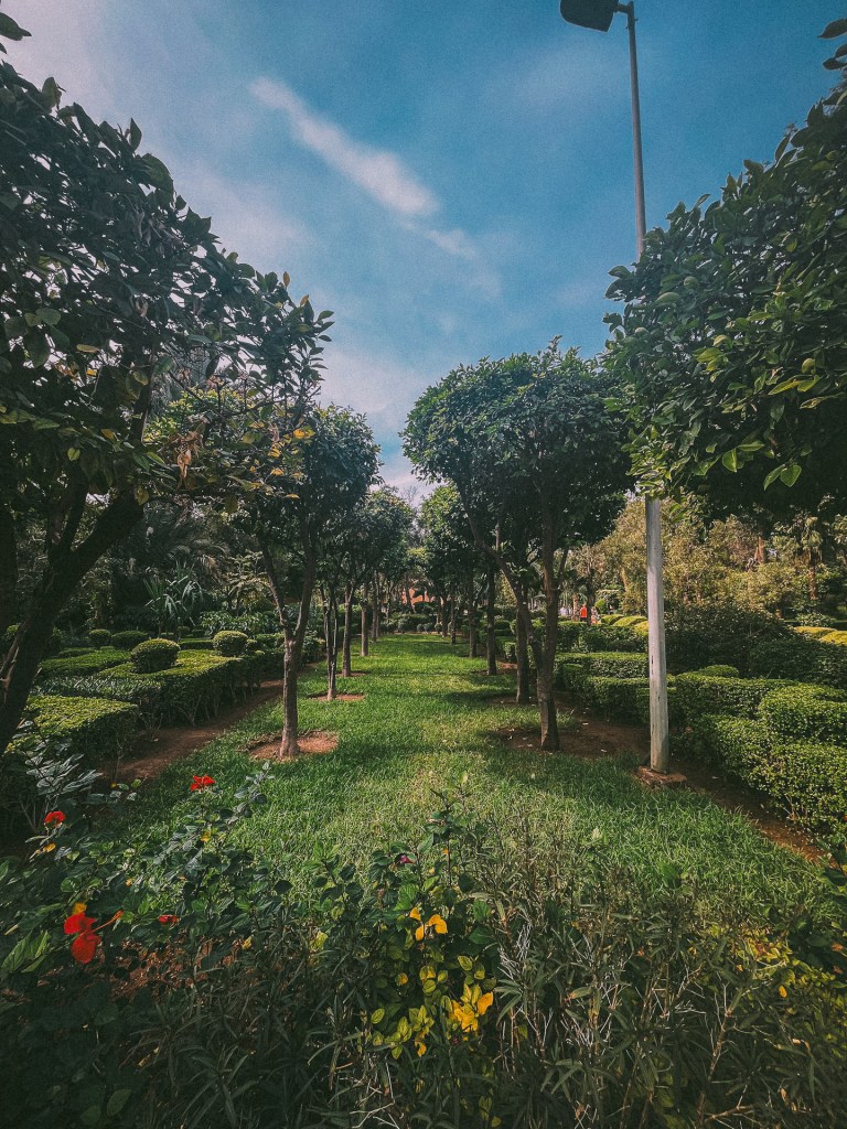 A lush garden pathway lined with trees and manicured shrubs under a blue sky at the Cyber Park Arsat Moulay Abdesalam.